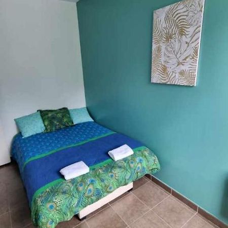 Castelema - Appartement Proche Du Sanctuaire 루르드 외부 사진